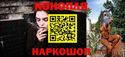 гашик Славгород