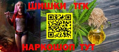 гашик Славгород