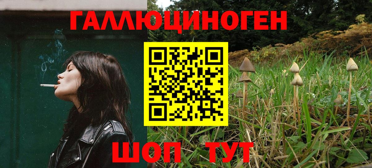 Галлюциногенные грибы Psilocybine cubensis  Вход с VPN  Миллерово 